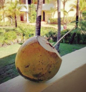 coconut-insta