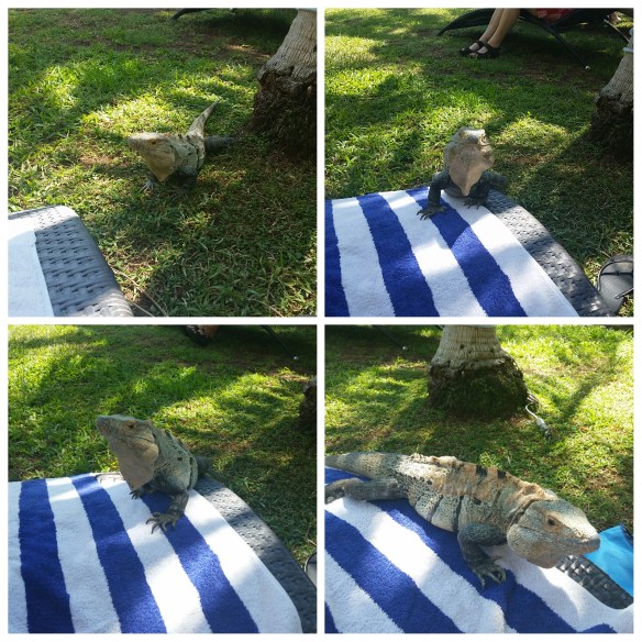 PhotoGrid_1454433100894